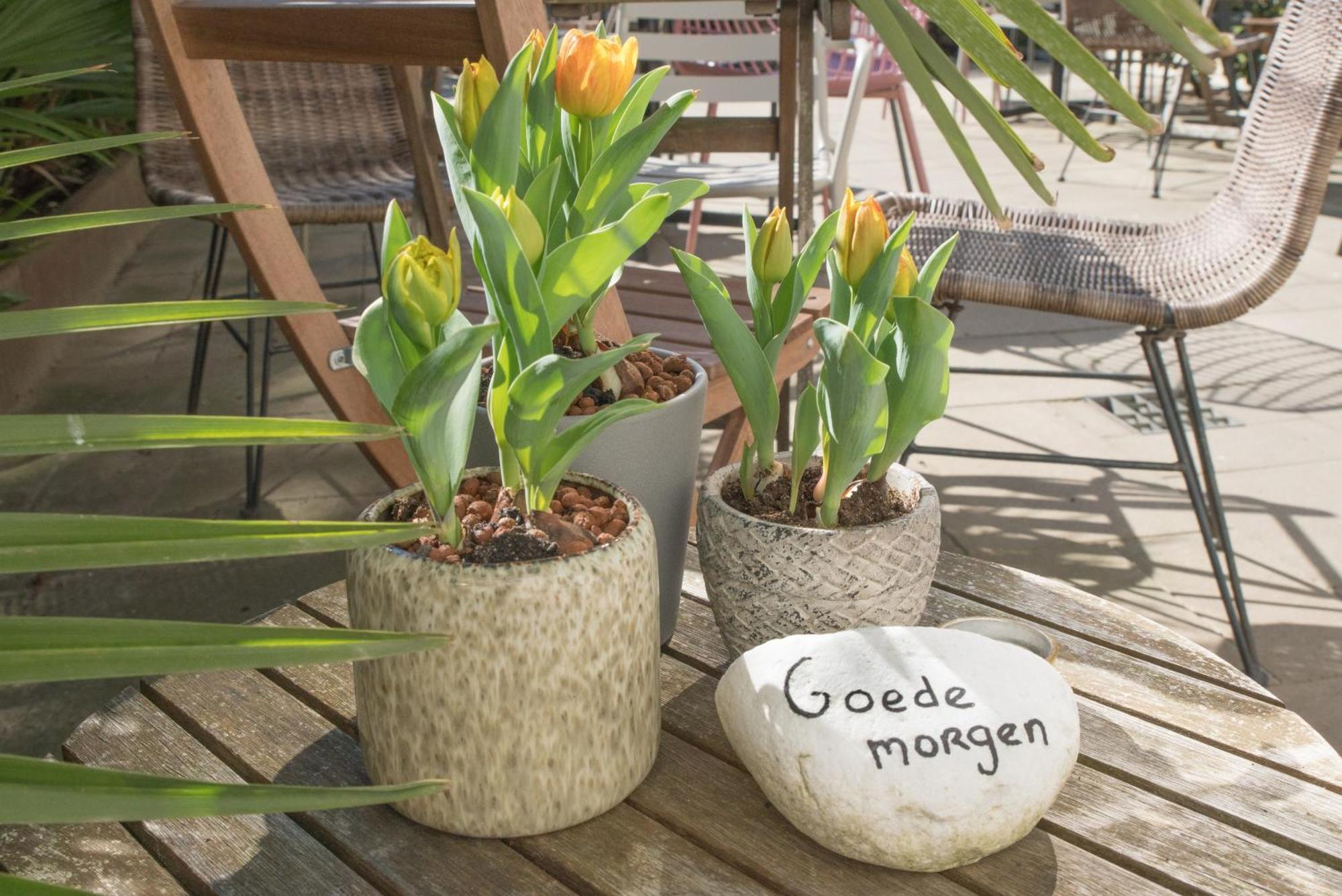 The Bloom Hotel Noordwijk Luaran gambar
